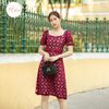 Đầm ren chữ a thời trang Eden cổ vuông - D434