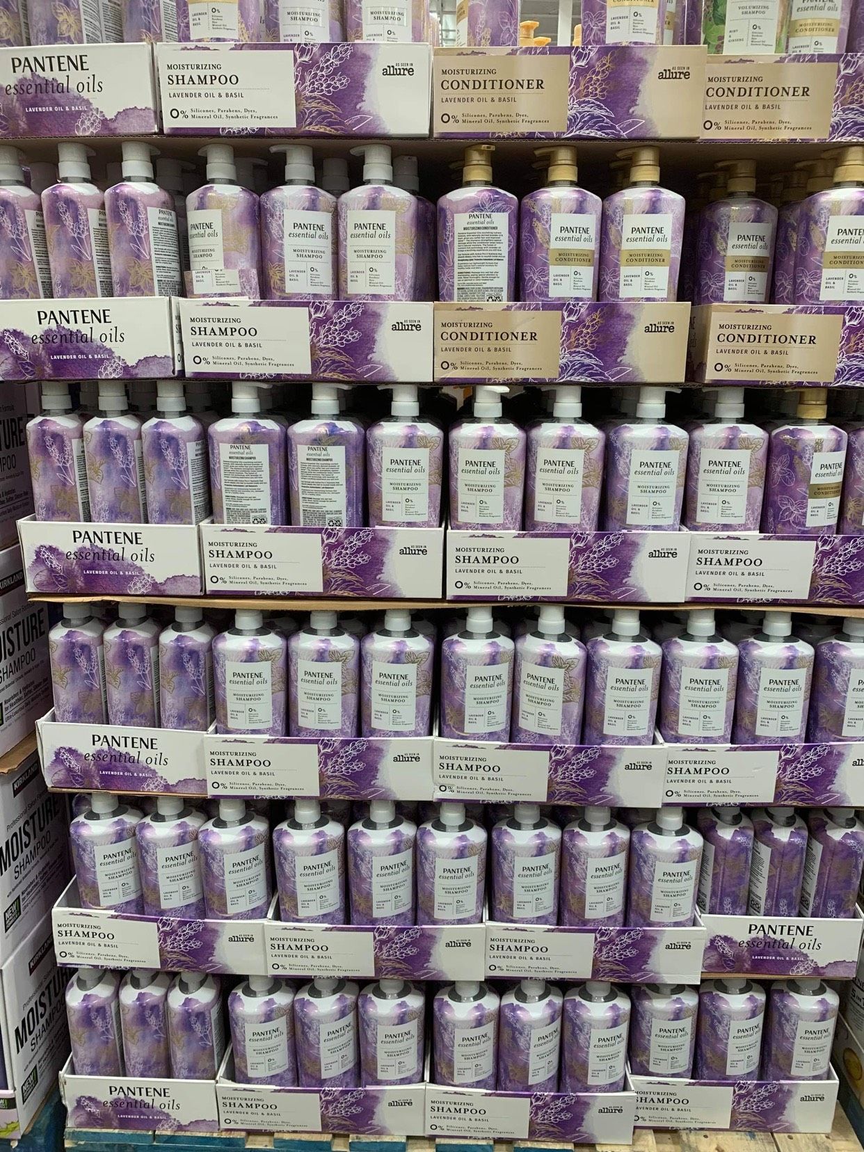 Dầu gội và dầu xả Pantene Essential Oils Lavender Oil & Basil