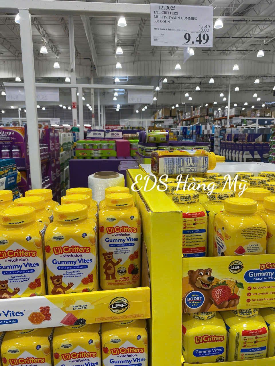 Kẹo dẻo hình gấu bổ sung vitamin tổng hợp L'il Critters Gummy Vites