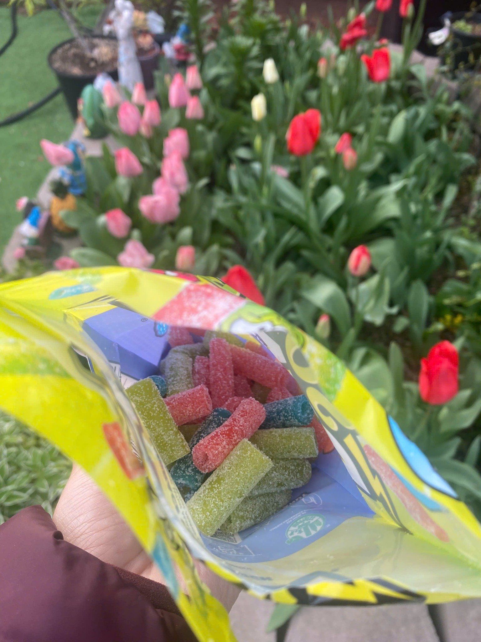 Kẹo dẻo vị trái cây Sour Punch Bites Candy Assorted Flavors