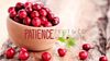 Nam việt quất hữu cơ sấy khô Patience Fruit & Co Organic Whole Cranberries - Bịch 1,36kg