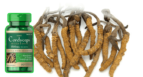  Viên uống đông trùng hạ thảo Puritan's Pride Cordyceps 