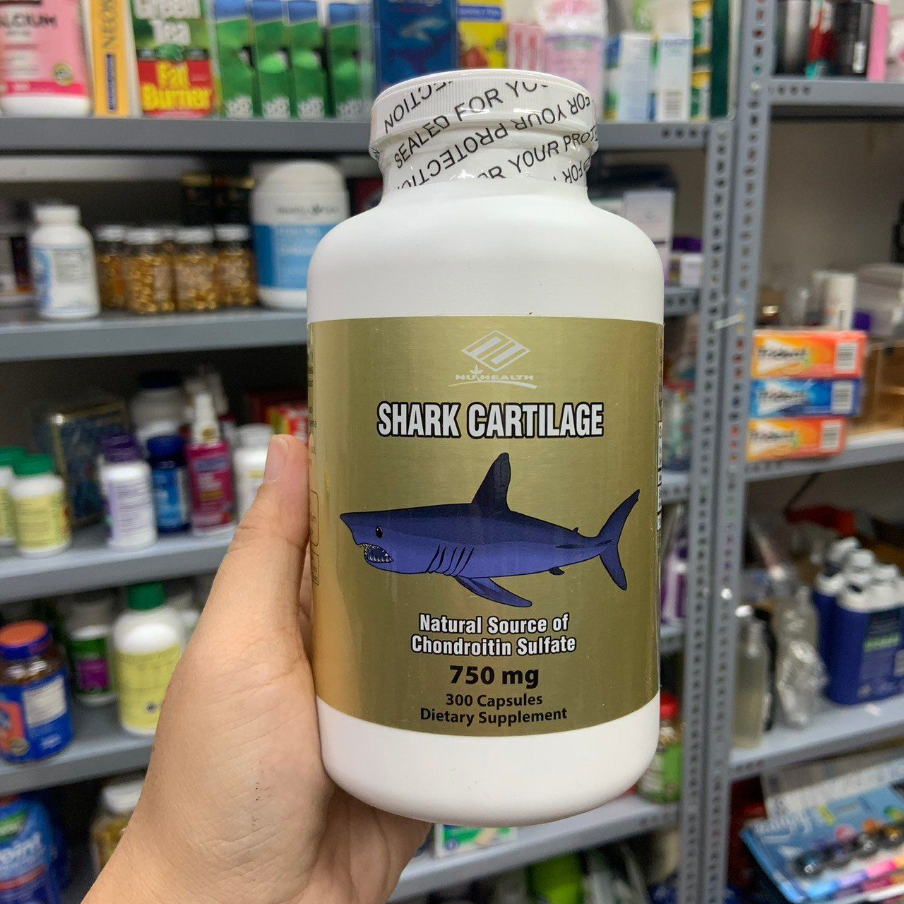 Viên uống sụn vi cá mập Shark Cartilage 750mg