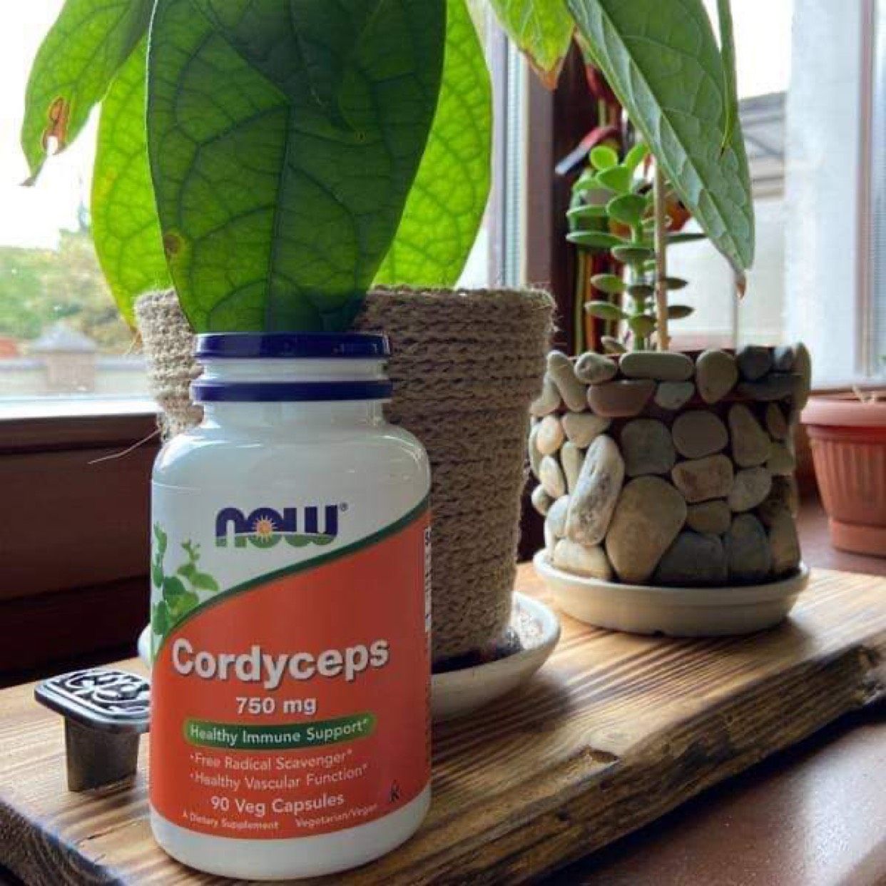 Đông trùng hạ thảo Now Cordyceps – 90 viên