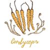 Đông trùng hạ thảo Now Cordyceps – 90 viên