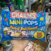 Kẹo mút hương trái cây Charms Mini Pops của Mỹ