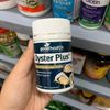 Viên uống tinh chất hàu tăng cường sinh lý nam Goodheath Oyster Plus