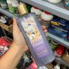 Sữa tắm dưỡng da hương nước hoa Caress
