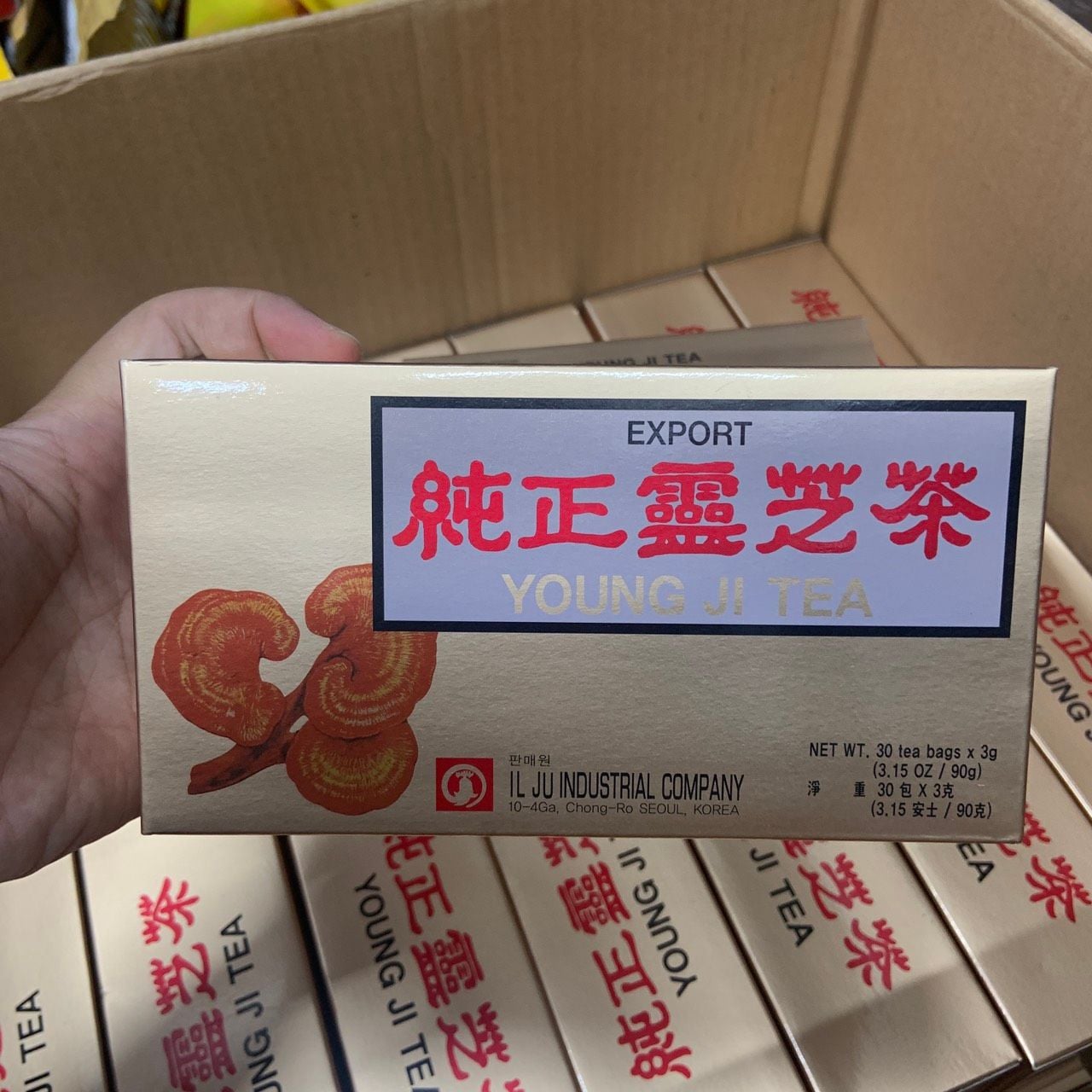 Trà nấm linh chi Young Ji Tea Reishi Mushroom Tea