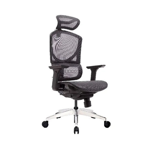 Ghế Công Thái Học - GTchair Isee M