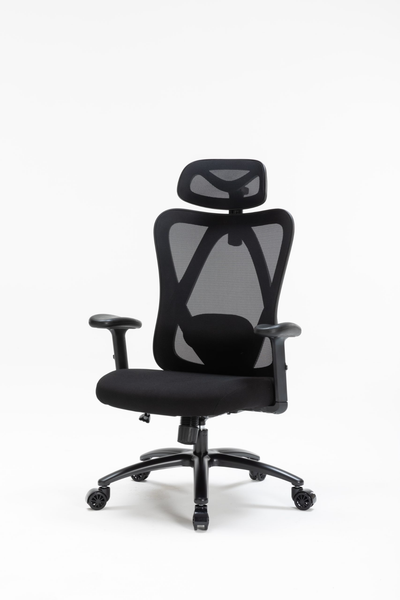 Ghế công thái học WARRIOR Hero series - WEC501 Plus Black