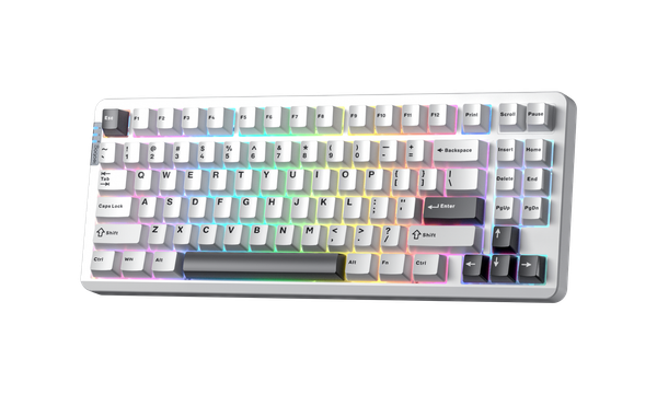 Bàn Phím Cơ Không Dây - Leobog Hi86 White Black