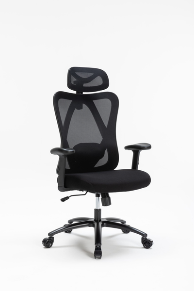 Ghế công thái học WARRIOR Hero series - WEC501 Plus Black