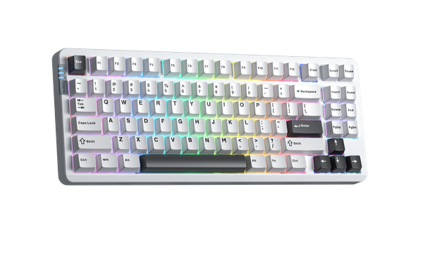 Bàn Phím Cơ Không Dây - Leobog Hi86 White Black