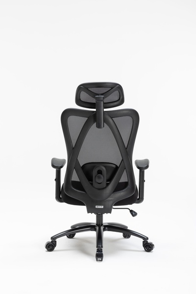 Ghế công thái học WARRIOR Hero series - WEC501 Plus Black