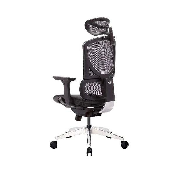 Ghế Công Thái Học - GTchair Isee M