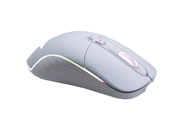 Chuột Không Dây - Newmen WGX6 White / Dualmode