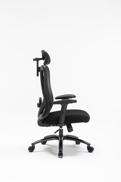 Ghế công thái học WARRIOR Hero series - WEC501 Plus Black