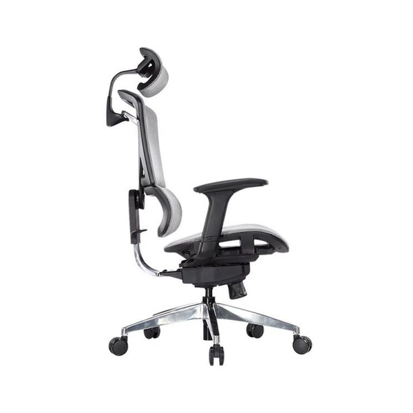 Ghế Công Thái Học - GTchair Isee M