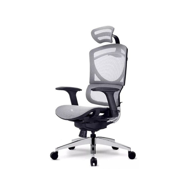Ghế Công Thái Học - GTchair Isee M