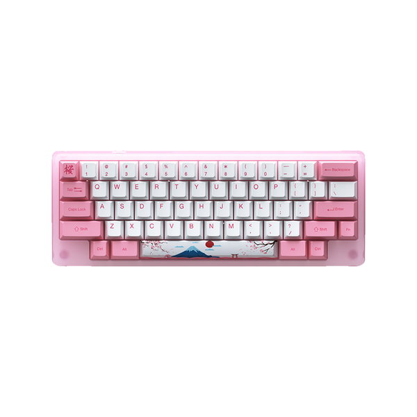 Bàn Phím Cơ Có Dây - AKKO ACR59 Pink| Hotswap| RGB| AKKO CS Jelly Pink