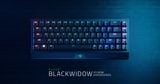 Razer BlackWidow V3 Mini HyperSpeed | Razer Switch