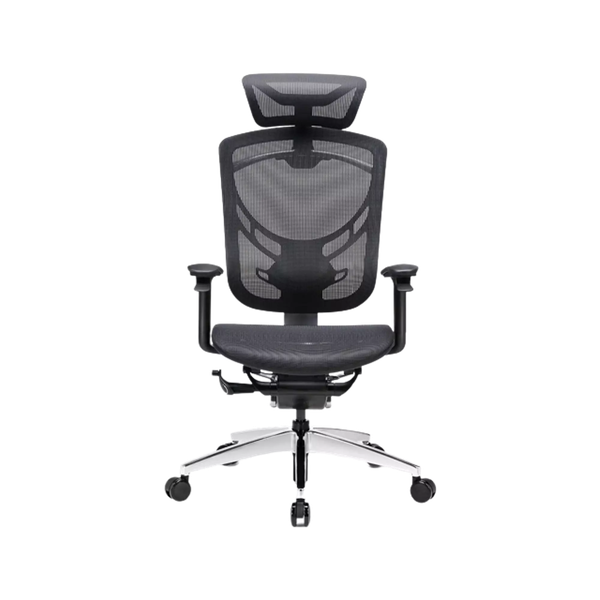 Ghế Công Thái Học - GTChair Davry Ivino Gen II -  Black - Grey - Smoke