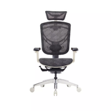 Ghế Công Thái Học - GTChair Davry Ivino Gen II -  Black - Grey - Smoke