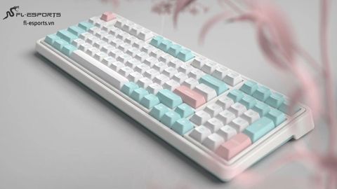 Bàn Phím Cơ Không Dây - FL-ESPORT CMK98 SAM Mashmallow 3 Mode / 2.4Ghz / BT / Type C