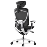 Ghế Công Thái Học - GTChair IFIT Smile - Black - Grey