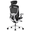 Ghế Công Thái Học - GTChair IFIT Smile - Black - Grey