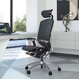 Ghế Công Thái Học - GTChair IFIT Smile - Black - Grey