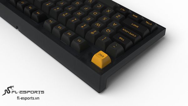 Bàn Phím Cơ Không Dây - FL-ESPORT FL750 SAM Polar Night | USB-C | 2.4Ghz | Bluetooth 5.0