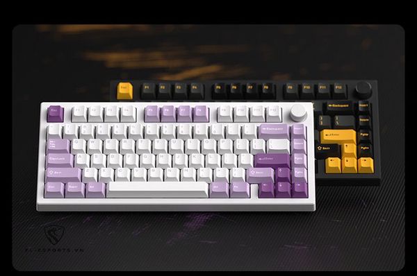Bàn Phím Cơ Không Dây - FL-Esports GP75 CP Taro Purple 3 Mode - TypeC - 2.4Ghz - Wireless