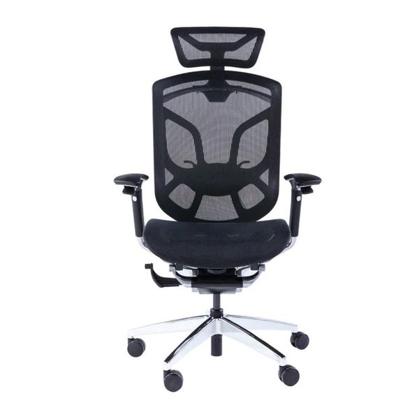 Ghế Công Thái Học - GTChair Dvary Butterfly - Black - Grey