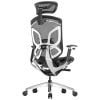 Ghế Công Thái Học - GTChair Dvary Butterfly - Black - Grey