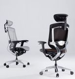 Ghế Công Thái Học - GTChair Marrit X - Black - Grey