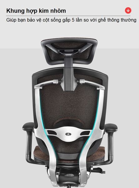 Ghế Công Thái Học - GTChair Marrit X - Black - Grey