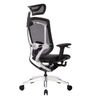 Ghế Công Thái Học - GTChair Marrit X - Black - Grey