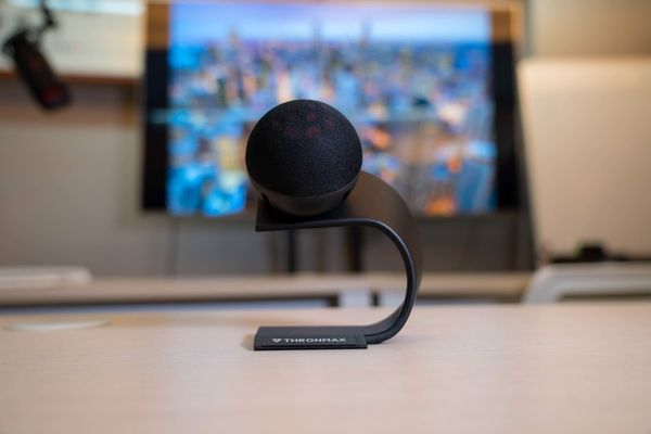 Microphone Thronmax Fireball