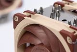 Tản Nhiệt Khí Noctua NH-U12A