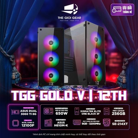 Bộ máy tính TGG GOLD V | 12TH