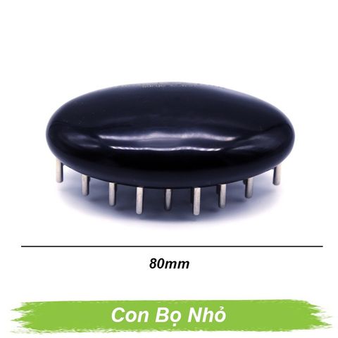 Lược con bọ nhỏ