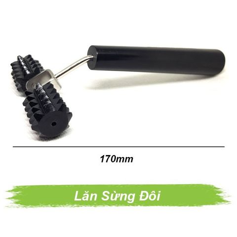 Lăn sừng đôi lớn