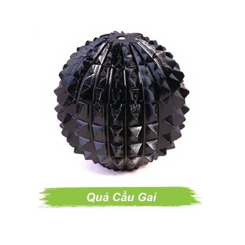 Quả cầu gai sừng