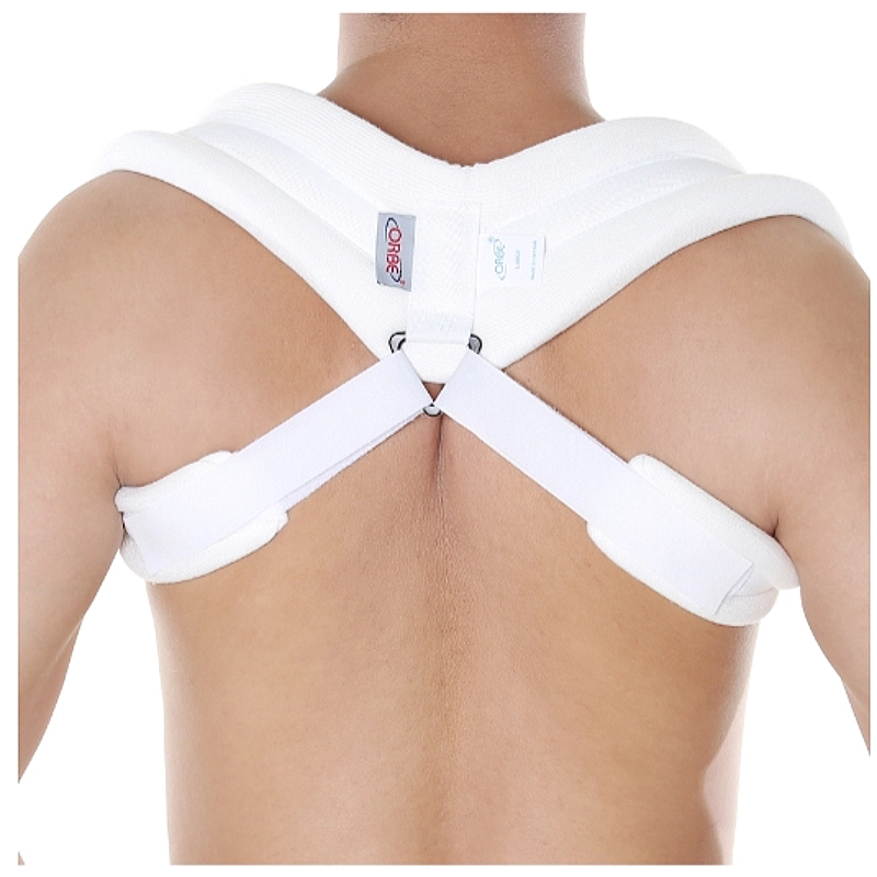 Đai số 8 Orbe