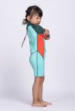  Wetsuit KID Short Tropi Palm 
