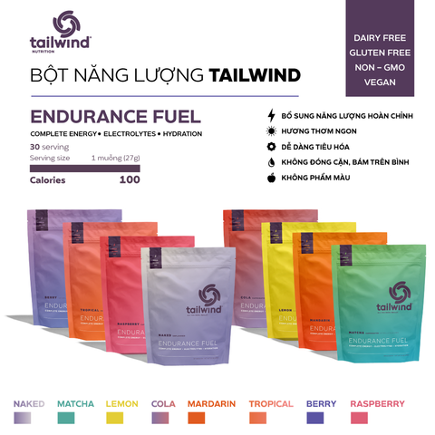  Bột năng lượng Tailwind Endurance Fuel gói 30 serving 