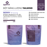  Bột năng lượng Tailwind Endurance Fuel gói 30 serving 