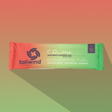  [Vị mới] Bột bổ sung năng lượng thể thao Tailwind Endurance Fuel 2 servings 